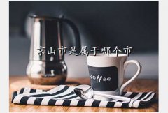 ɽʱ
