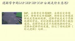 sip,߼ѧеSAP SEP SIP SOP ֱʲô˼?