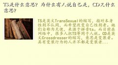 tsʲô˼,TSʲô˼Ϊʲô˵ԼǣCDʲô˼