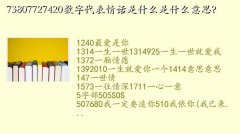 576,73807727420ִ黰ʲôʲô˼