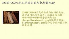绰,02988796993ǲõ绰