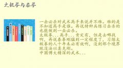 王战军大战泰拳,太极拳与泰拳
