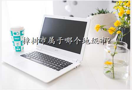 樟树市属于哪个地级市?