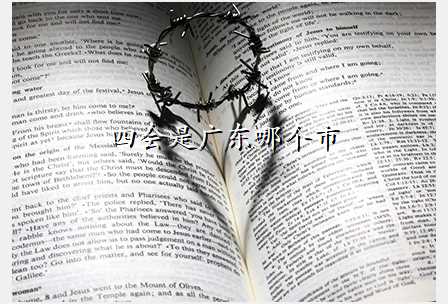 四会是广东哪个市