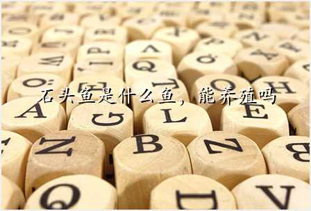 石头鱼是什么鱼,能养殖吗