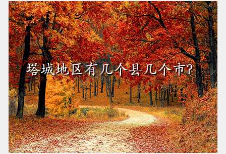 塔城地区有几个县几个市?