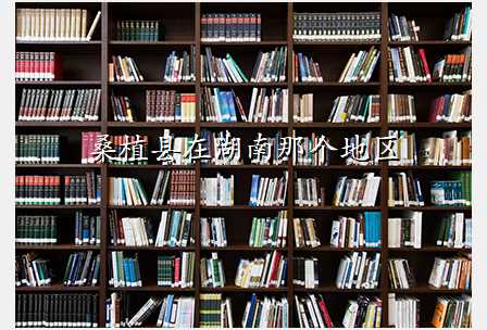 桑植县在湖南那个地区