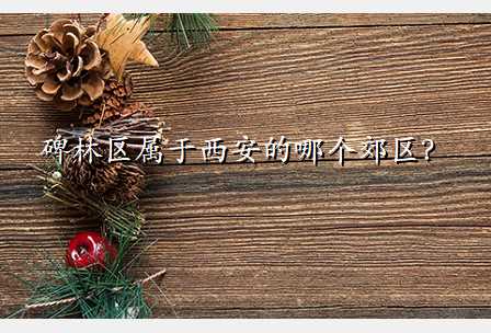碑林区属于西安的哪个郊区?