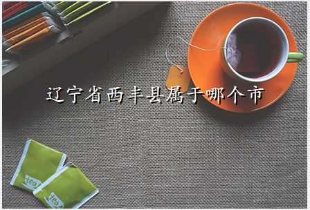 辽宁省西丰县属于哪个市