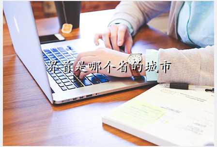 界首是哪个省的城市