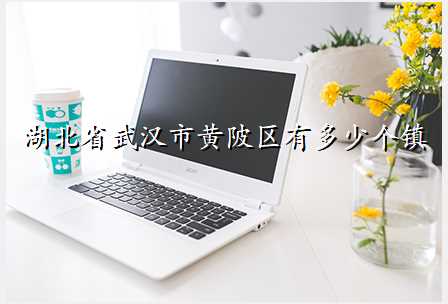 湖北省武汉市黄陂区有多少个镇