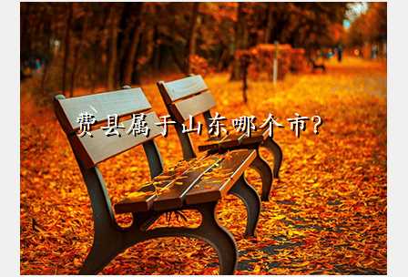 费县属于山东哪个市?