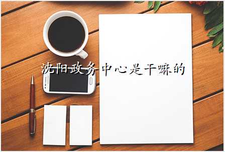 沈阳政务中心是干嘛的