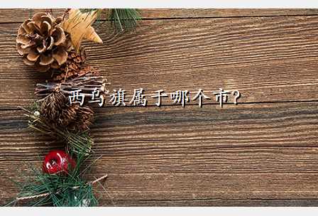 西乌旗属于哪个市?