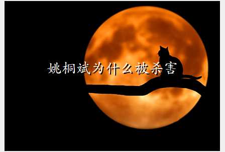 姚桐斌为什么被杀害