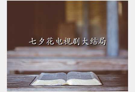 七夕花电视剧大结局