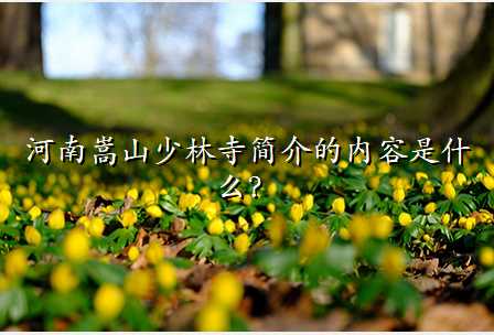 河南嵩山少林寺简介的内容是什么?