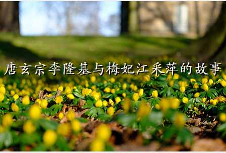 唐玄宗李隆基与梅妃江采萍的故事