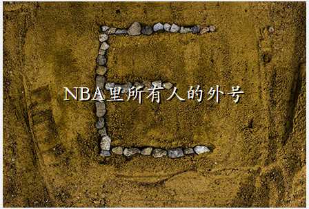 NBA˵