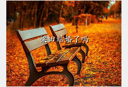 梁田结婚了吗