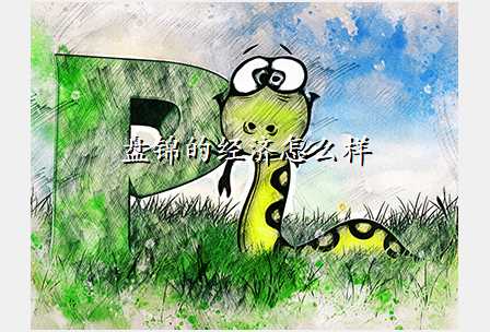 盘锦的经济怎么样