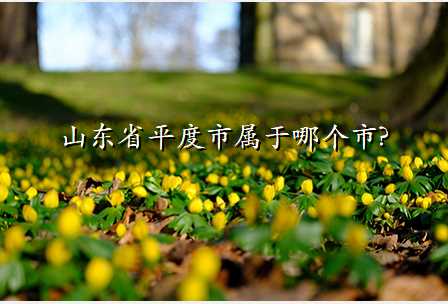 山东省平度市属于哪个市?