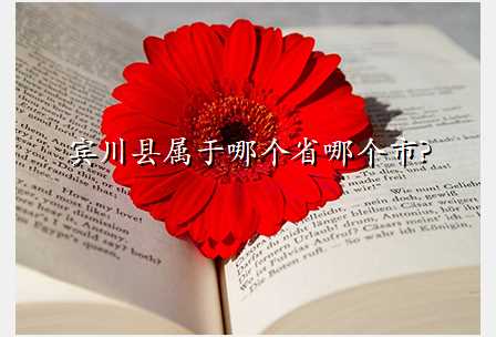 宾川县属于哪个省哪个市?
