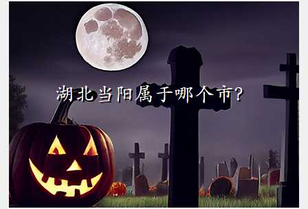 湖北当阳属于哪个市?