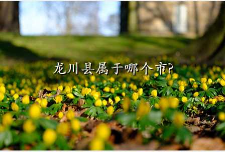 龙川县属于哪个市?