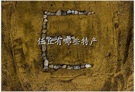 任丘有哪些特产