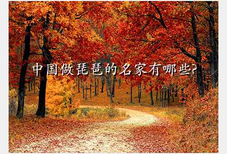 中国做琵琶的名家有哪些?