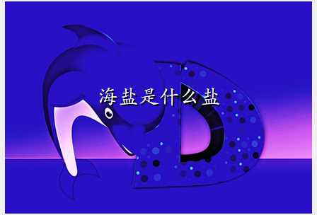 海盐是什么盐
