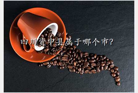 四川资中县属于哪个市?