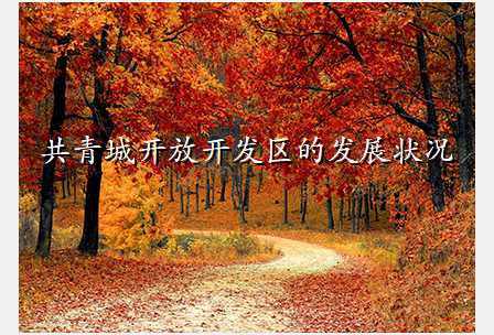 共青城开放开发区的发展状况