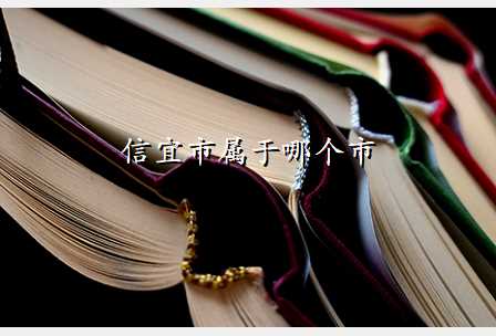 信宜市属于哪个市