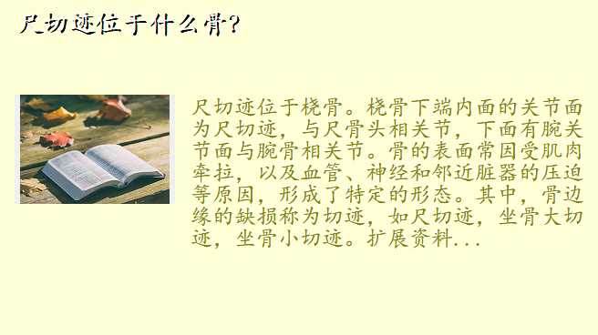 尺切迹位于什么骨?
