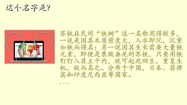 这个名字是?