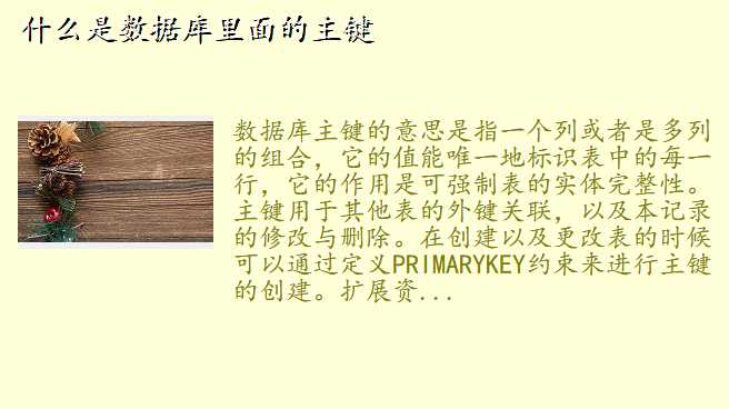 什么是数据库里面的主键
